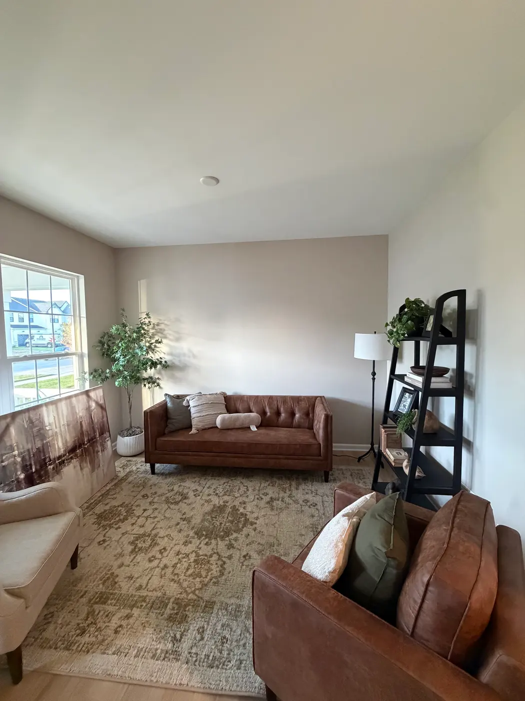 Interior Painting project — Whole-Home Interior